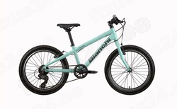 Lasteratas Bianchi XR20  20 tolli