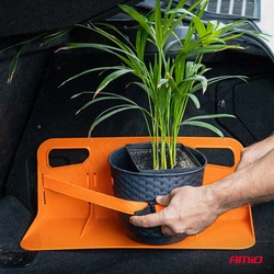 PAKIRUUMI HOIDIK AMIO