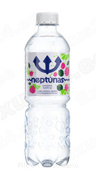 Lauavesi karboniseeritud Laimi-Vaarika Neptunas 500ml
